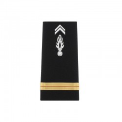 FOURREAU RIGIDE GENDARMERIE DEPARTEMANTAL FOURREAU RIGIDE GENDARMERIE DEPARTEMANTAL