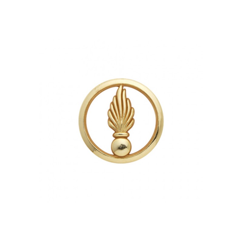 Insigne de béret doré Cadre Spécial