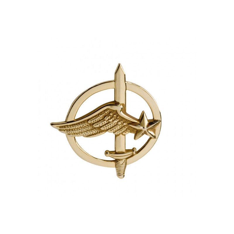 Insigne de béret doré Commandos de l'Air