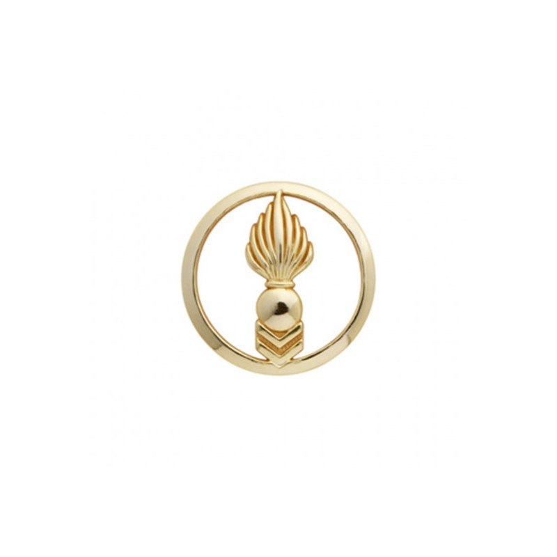 Insigne de béret doré Corps Techniques et Administratifs