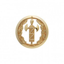 Insigne de béret doré Justice Militaire