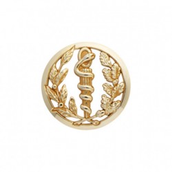 Insigne de béret doré Service de Santé