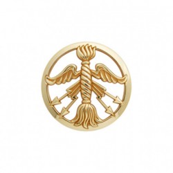 Insigne de béret doré Service des Poudres