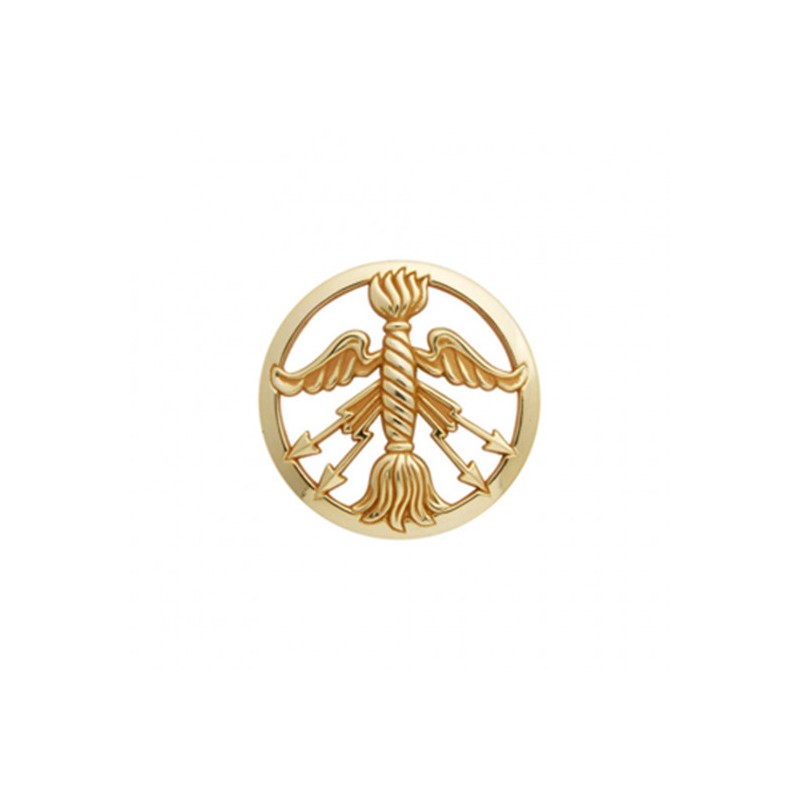 Insigne de béret doré Service des Poudres